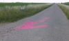 4-Kanallauf_28-06-2015_01
