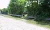 4-Kanallauf_28-06-2015_29