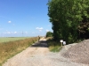 IMG-20150709-WA0001