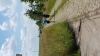 20160626_111810