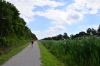 _DSC0339