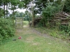DSCN5465