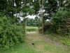 DSCN5479
