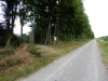DSCN5507