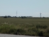 IMG_20190623_122618226